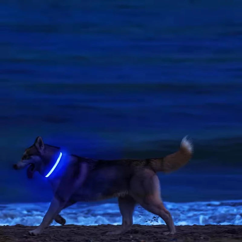 NightPaw Safety Leash