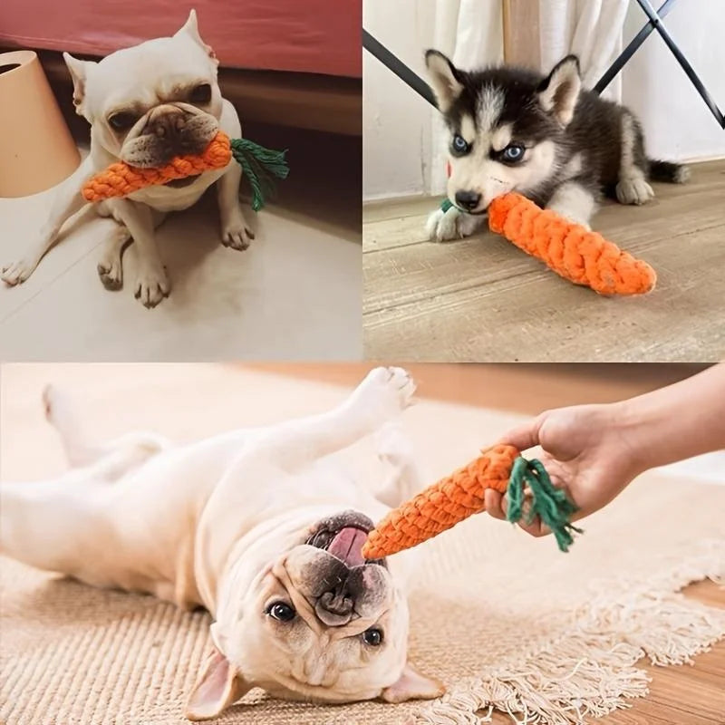 CarrotKnot Chew Toy