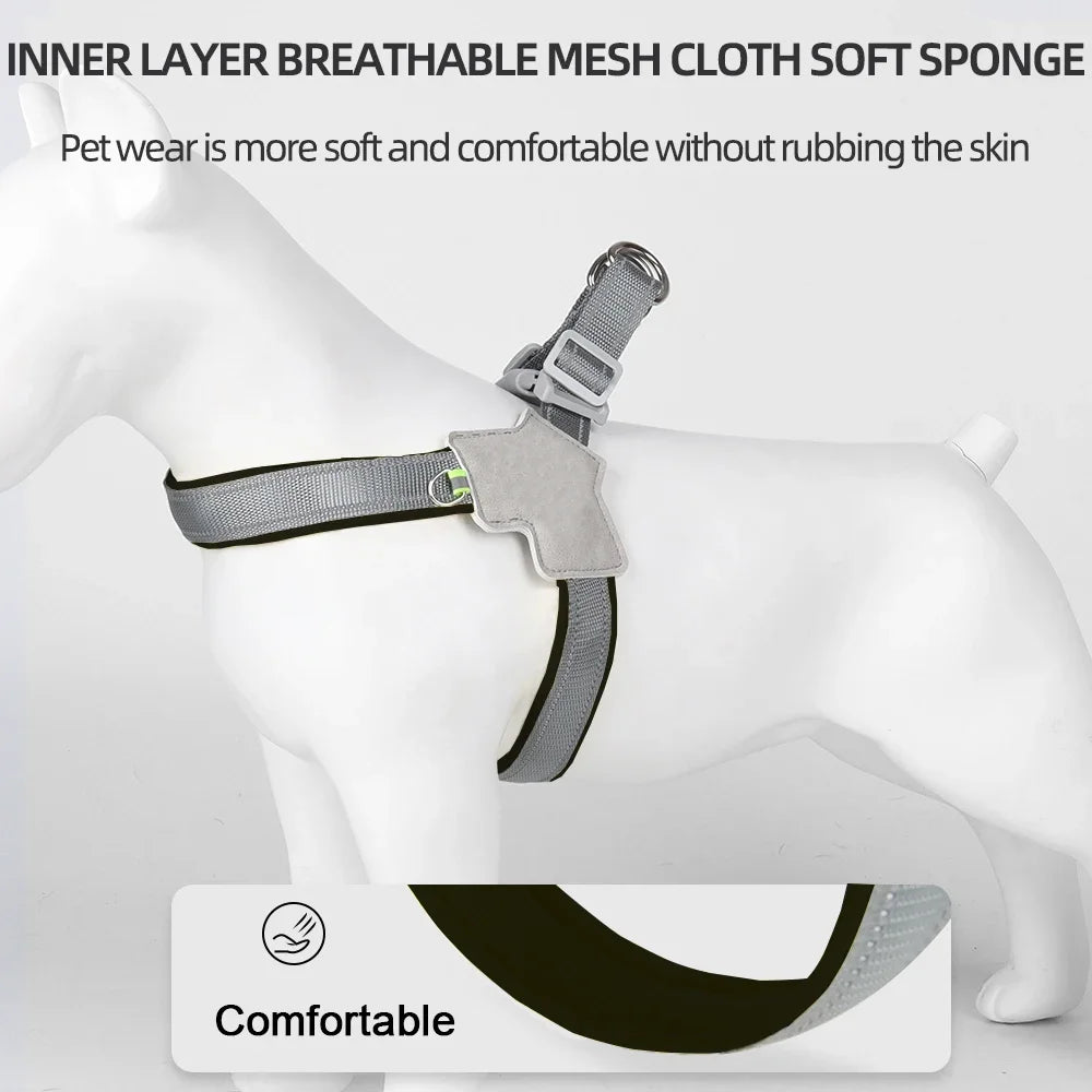 Pet Walking Harness