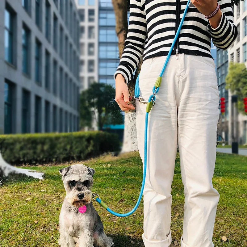 RunFree Dog Leash