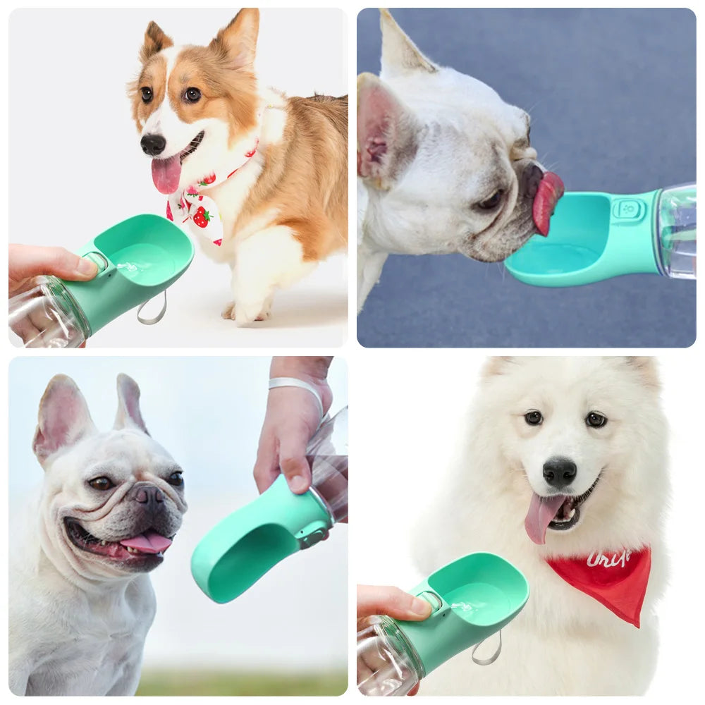 PawSip Water Bottle