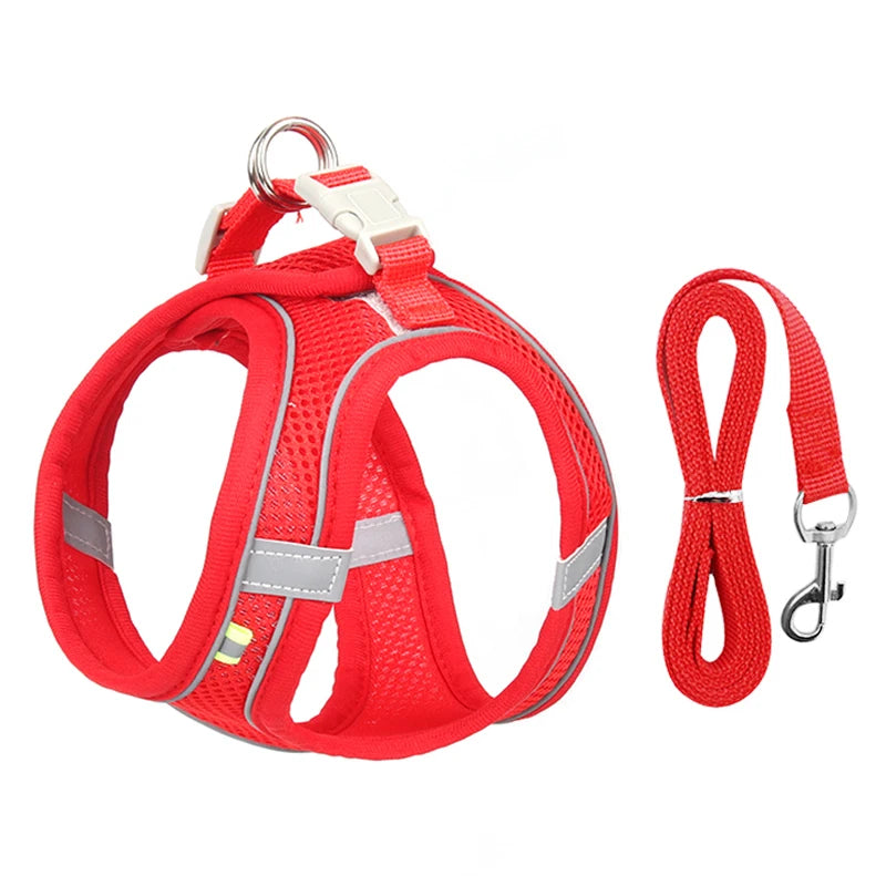 Pet Harness & Leash