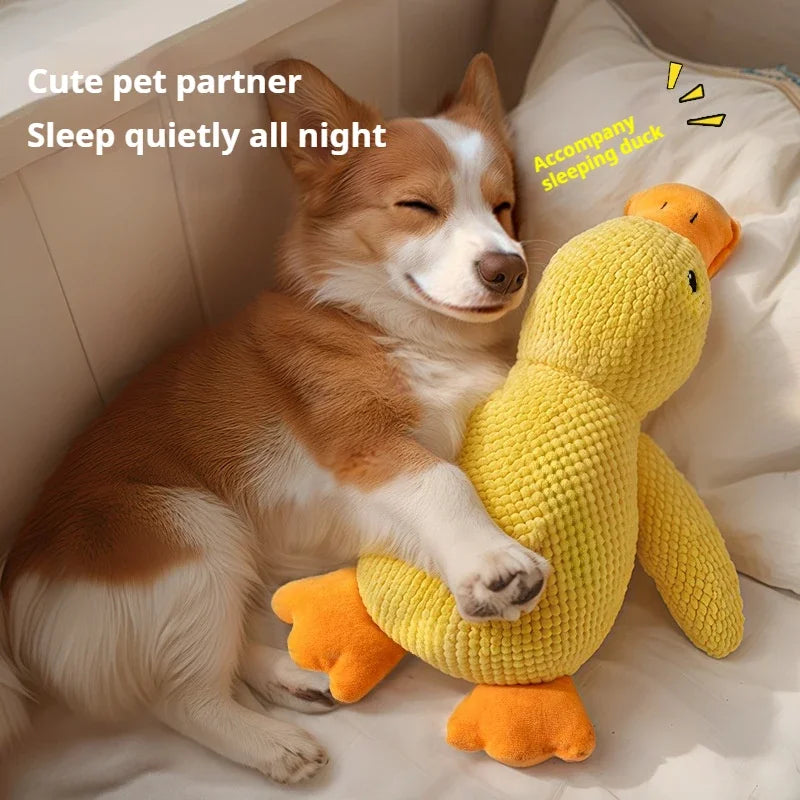 DuckyCalm Dog Toy