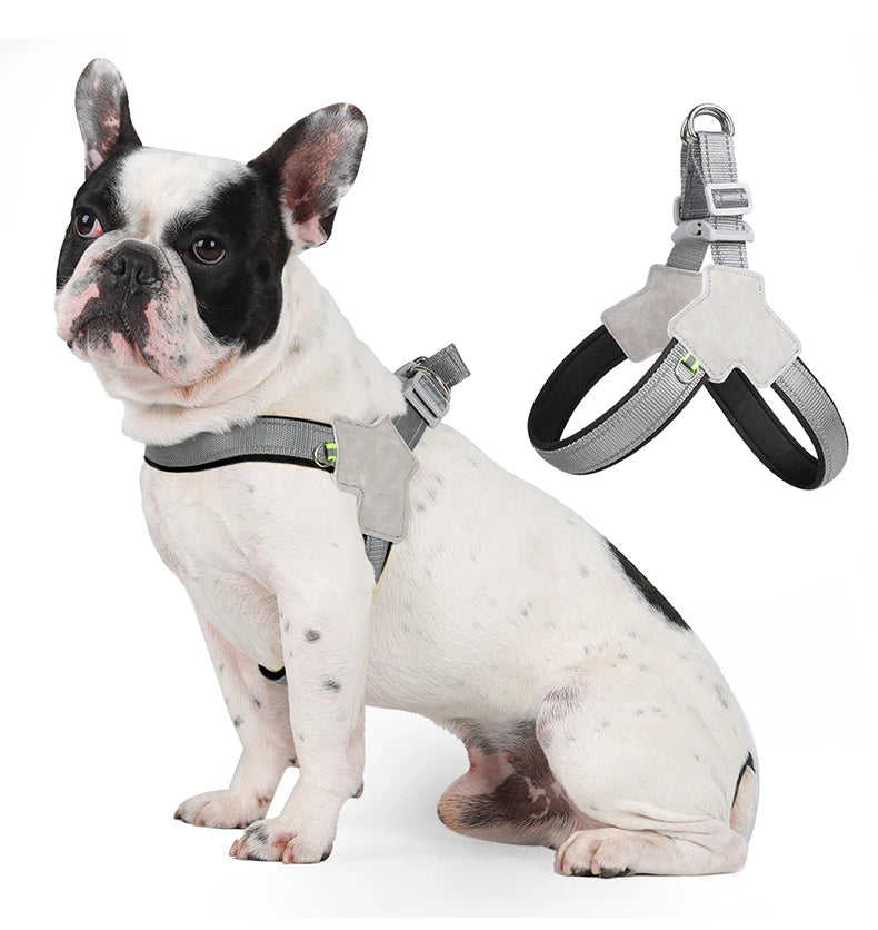 Pet Walking Harness