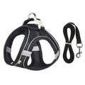 Pet Harness & Leash