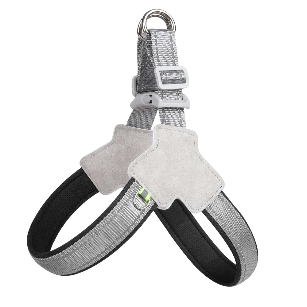 Pet Walking Harness