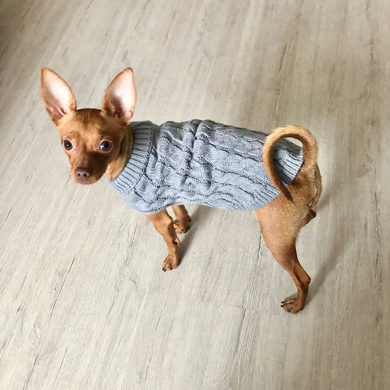 Pet Knit Sweater