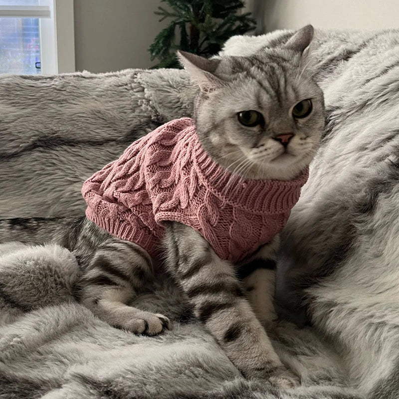 Pet Knit Sweater