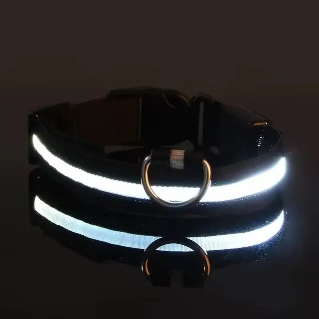 NightPaw Safety Leash