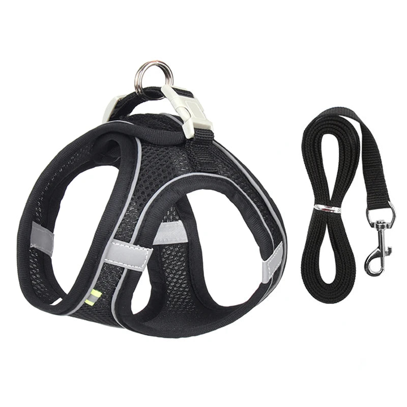 Pet Harness & Leash