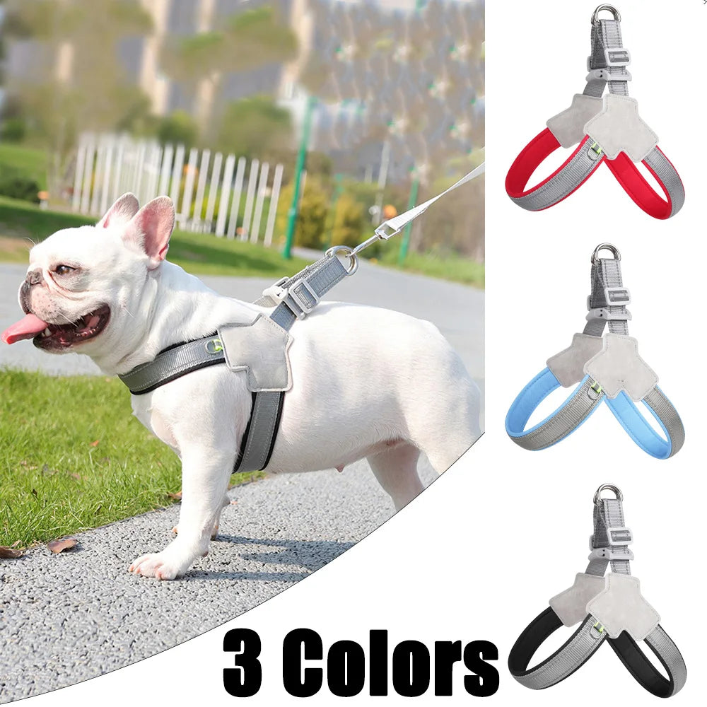 Pet Walking Harness