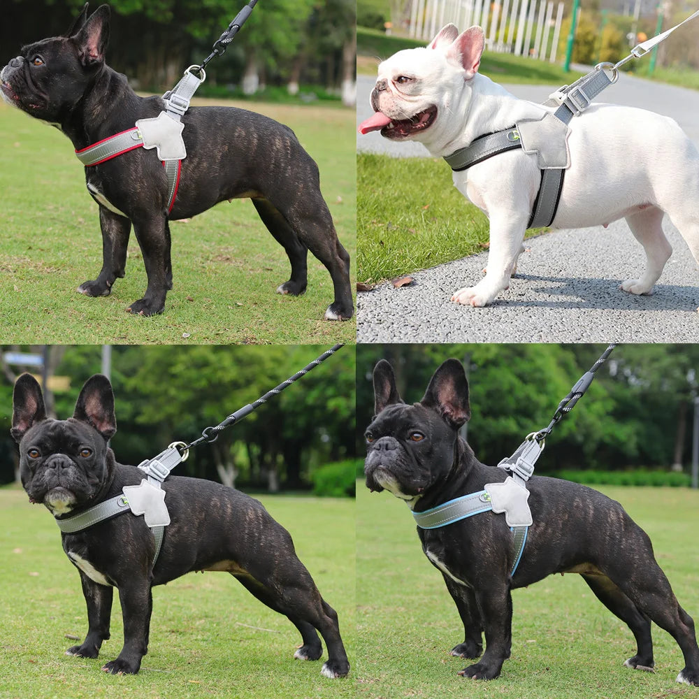 Pet Walking Harness