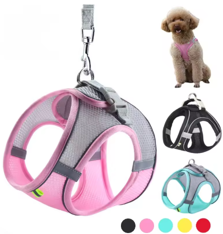 Pet Harness & Leash