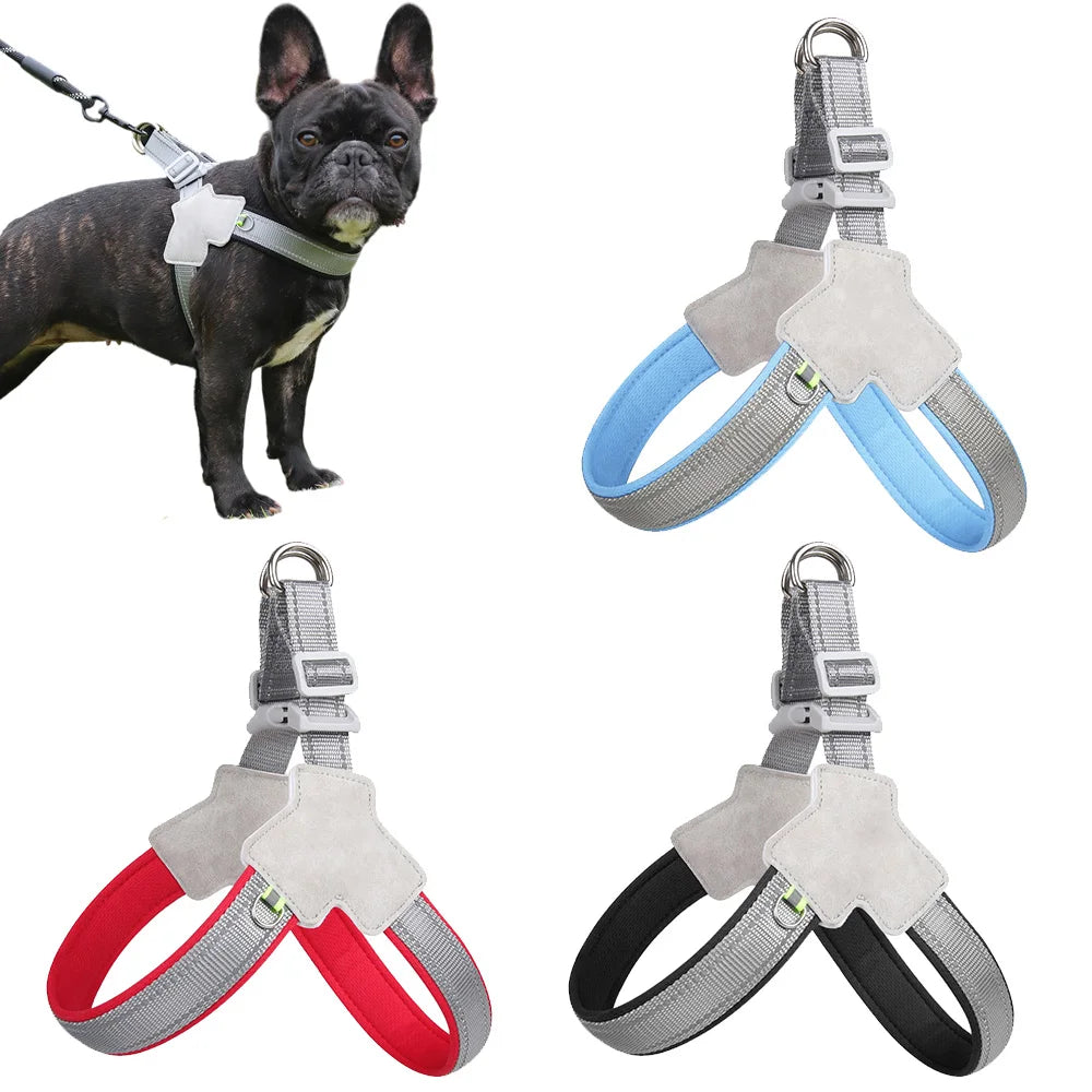 Pet Walking Harness