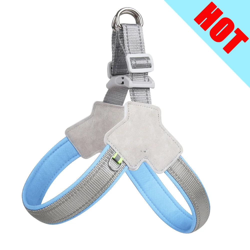 Pet Walking Harness