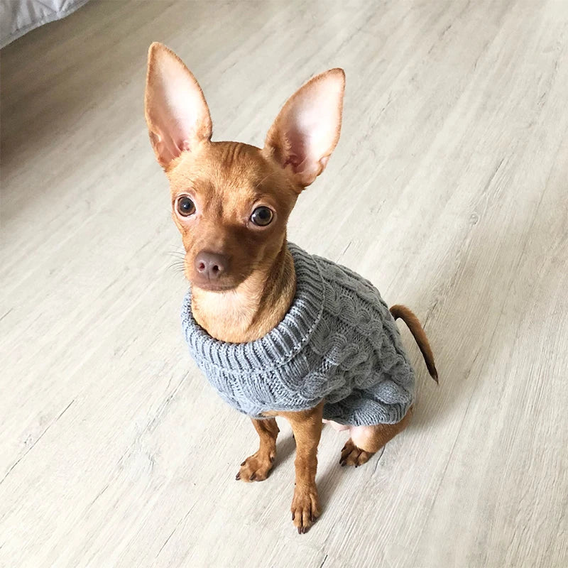 Pet Knit Sweater